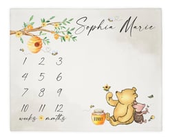 Winnie Bear Baby Milestone Blanket Girl, First Year Calendar Monthly Growth Mat, Personalized Name Pooh Bear Month Blanket, Baby Shower Gift